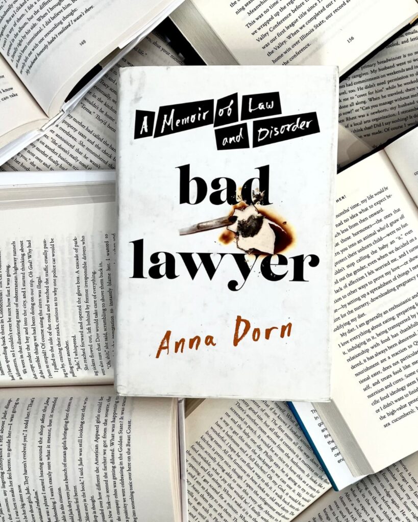 Anna Dorn’s “Bad Lawyer”